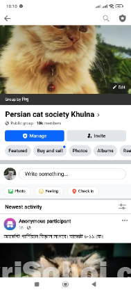 Persian cat society Khulna